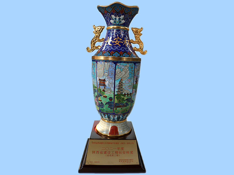 灃西新城新業(yè)佳苑4#樓榮獲陜西省建設(shè)工程“長安杯獎(jiǎng)”（省優(yōu)質(zhì)工程）